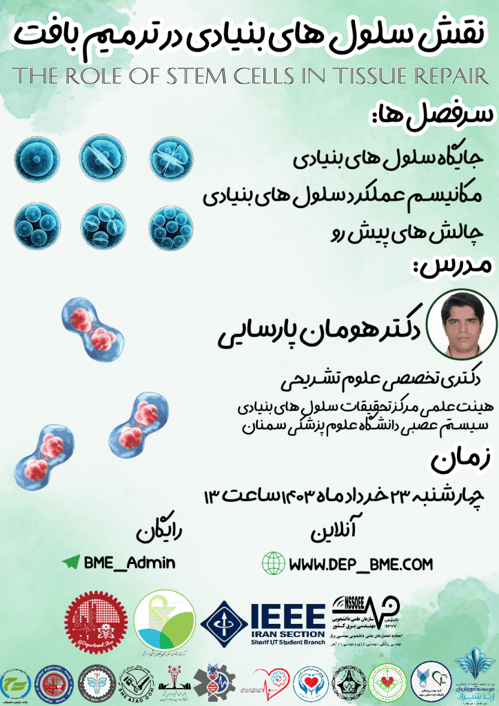 کارگاه نقش سلول‌های بنیادی در ترمیم بافت